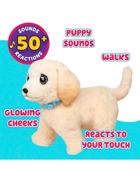 Little Live Pets – Ouchies Retriever Cooper ROC20486274 Moose | Futurartshop.com