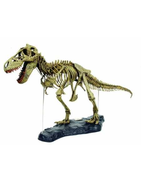 T-Rex Scheletro 45 centimetri 157501 Giochi Preziosi | Futurartshop.com