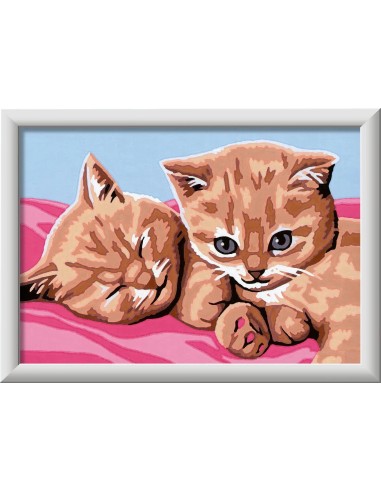 Creart Feline Friends 18x13 cm - Paint by Numbers Cats Art Kit RAV23562 Ravensburger | Futurartshop.com