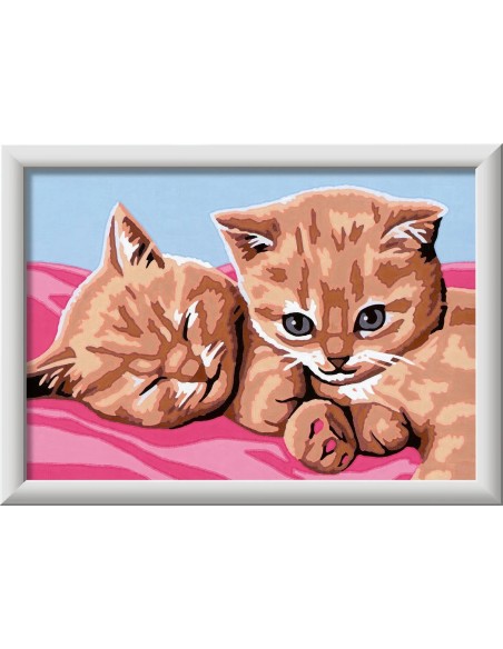 Creart Feline Friends 18x13 cm - Paint by Numbers Cats Art Kit RAV23562 Ravensburger | Futurartshop.com