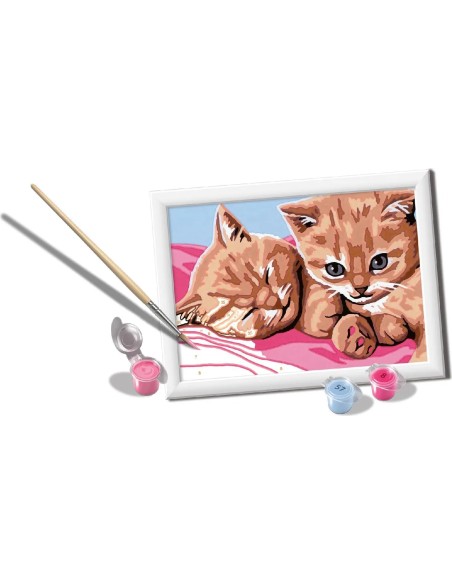 Creart Feline Friends 18x13 cm - Paint by Numbers Cats Art Kit RAV23562 Ravensburger | Futurartshop.com