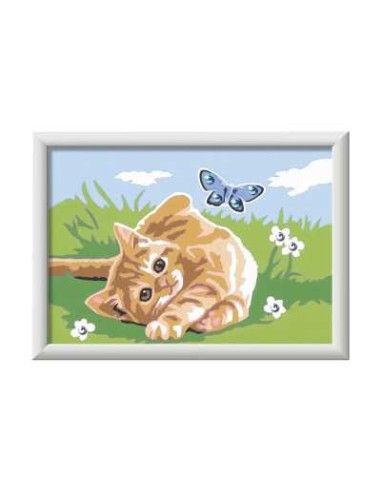 CreArt Gattino Allegro 13x18cm Kit Dipingere con Numeri RAV23092 Ravensburger | Futurartshop.com