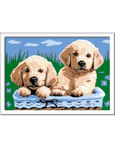 CreArt Golden Retriever Dogs 13x18cm Paint by Numbers Kit RAV289318 Ravensburger | Futurartshop.com