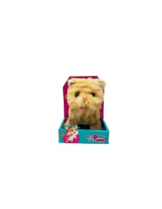 Kitten walking with Puppy 4 models EAS18273 Easy Toys | Futurartshop.com 2