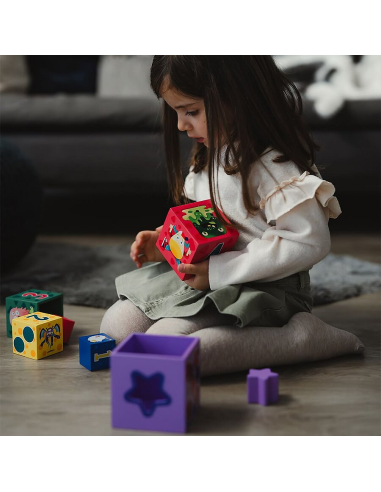 Cubi Attivi Legno 5 Cubi 4 Forme Impilabili Bambini DAN054116 Dal Negro | Futurartshop.com