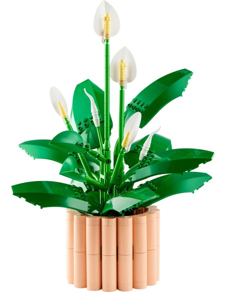 LEGO Botanicals 11504 Spatifillo Pianta Set Adulti 18+ LEG6581010 Lego | Futurartshop.com