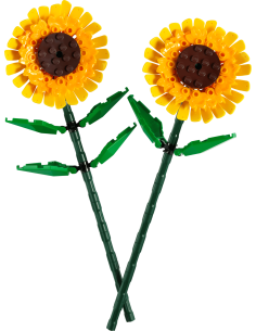 LEGO 40524 Sunflowers – Botanicals Decorative Flowers Set LEG6627165 Lego | Futurartshop.com 2