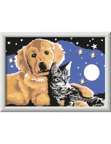CreArt Starry Sky Paint by Numbers Kit 9+ RAV20045 Ravensburger | Futurartshop.com