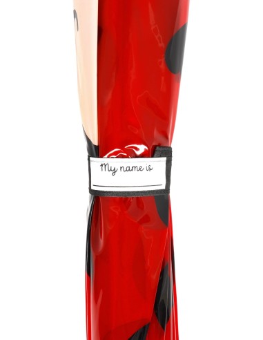Children's Umbrella Ladybug Transparent Windproof LEGKUM0007 Legami Milano | Futurartshop.com
