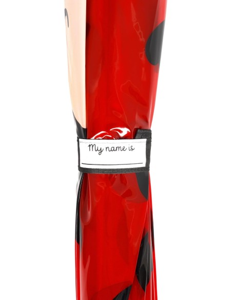 Ombrello Bambini Coccinella Dancin' in the Rain LEGKUM0007 Legami Milano | Futurartshop.com