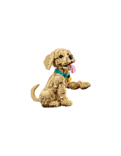 LEGO Icons 11384 Cucciolo di Golden Retriever Set LEG6588537 Lego | Futurartshop.com 2