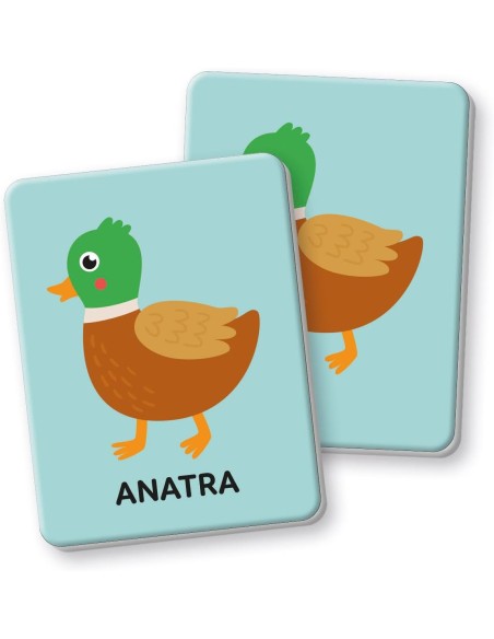 Primo Memo 30 Carte Tattili 1-3 Anni CLE16830 Clementoni | Futurartshop.com