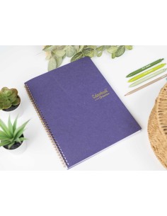 Quaderno a spirale A4 amethyste – Righe scuole medie e superiori LAGCOL24662 Colourbook | Futurartshop.com 2