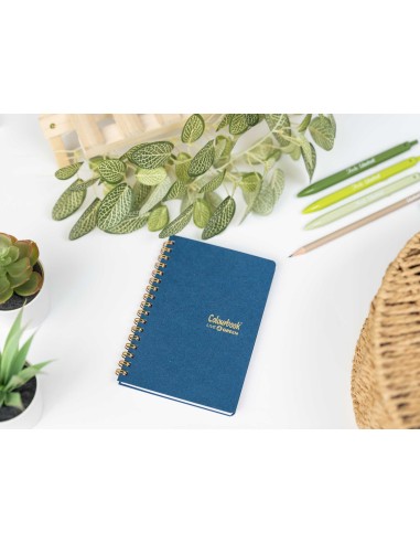 Quaderno a spirale A6 saphir – Righe scuole medie e superiori LAGCOL24624 Colourbook | Futurartshop.com