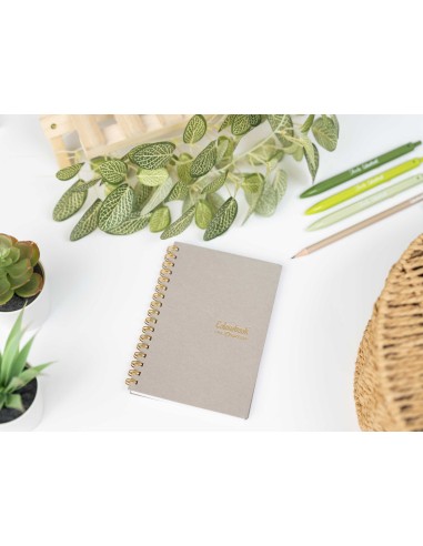 A6 1R spiral notebook in limestone – Lined for middle and high schools LAGCOL24625 Colourbook | Futurartshop.com