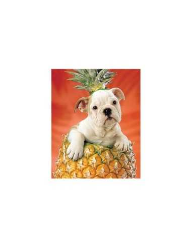1000 pieces puzzle dog with pineapple 110093 Clementoni | Futurartshop.com