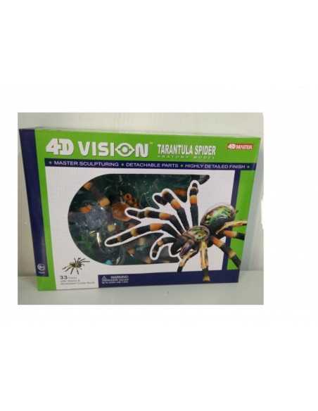 4 d model of Anatomy of the Tarantula 2315986140137 Giochi Preziosi | Futurartshop.com