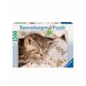 sleeping kitten puzzle 1500 PCs RAV121780 Ravensburger- Futurartshop.com