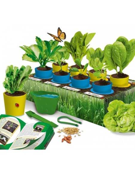gioco piccolo genio il mio primo orto botanico BIM0003434 Lisciani | Futurartshop.com