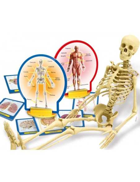kit scientifico scopri il corpo umano BIM0003433 Lisciani | Futurartshop.com