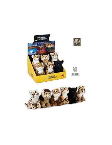 Plush baby felines 6 models LAG770706 Lelly | Futurartshop.com