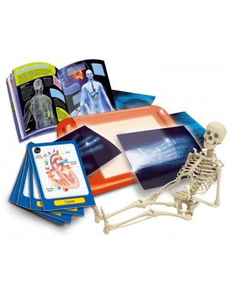 Little genius of human body Anatomy LIS51779 Lisciani | Futurartshop.com
