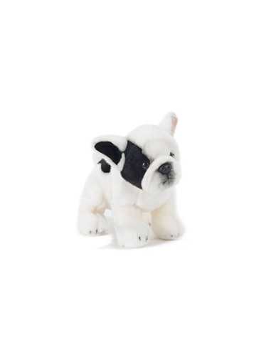 Plush francky French bulldog 30 cm P&C15865 Plush e Company | Futurartshop.com
