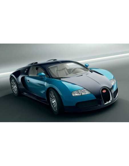 Bugatti 2 RC colours PRI27028 Prismalia | Futurartshop.com