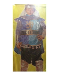 7-9 years the Lion King costume 163426 Joker | Futurartshop.com