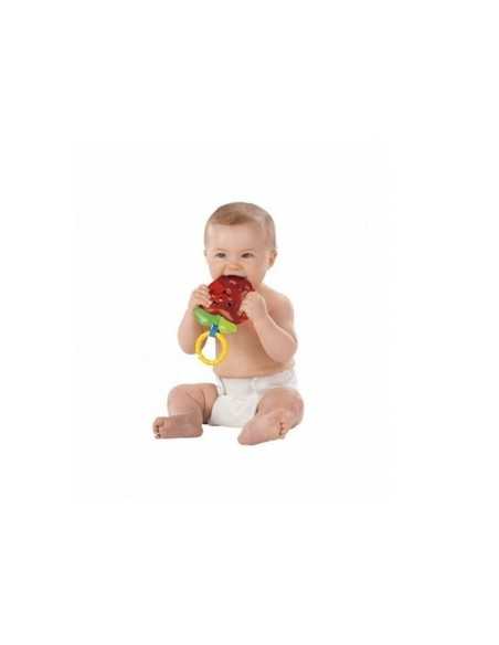 fisher price mela dentaruolo MATR6449/M4385 Mattel | Futurartshop.com