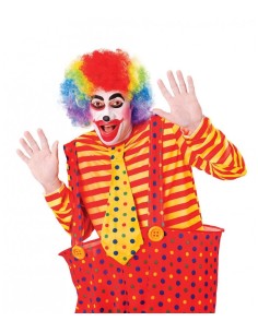 parrucca clown arcobaleno RUBBW113 Rubies | Futurartshop.com