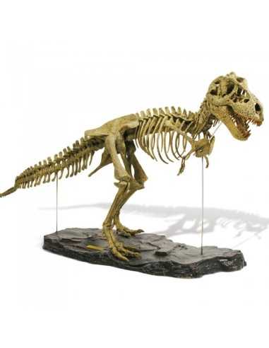 T rex skeleton deluxe geoworld perfect replicas BIM0005579  | Futurartshop.com