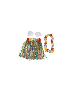 costume hawaii BIM603439  | Futurartshop.com