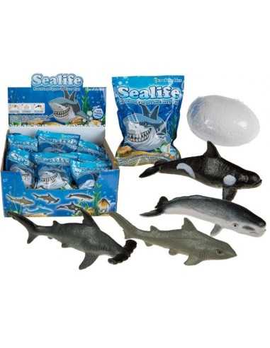 Marine animals in the egg bubbling OTB11/2024 Out of The Blue | Futurartshop.com