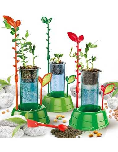 Science and game botany and hydroponics CLE19040 Clementoni | Futurartshop.com