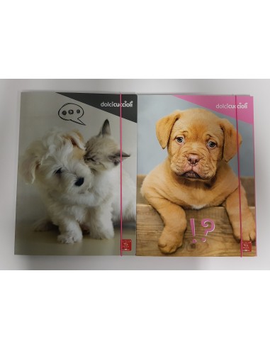 Folder 3 flaps sweet puppies 2 models 0229924 Pigna | Futurartshop.com