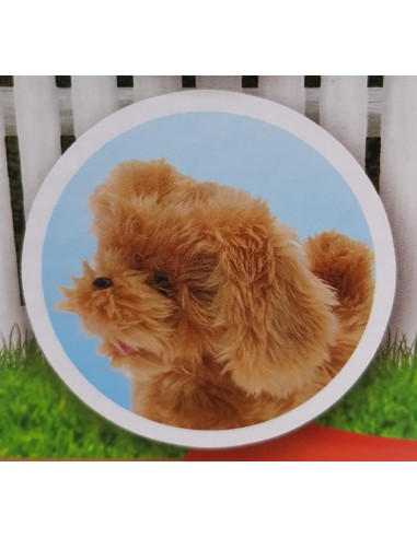 Cagnolino filoguidato con comandi e suoni marrone TEO63277/1  | Futurartshop.com