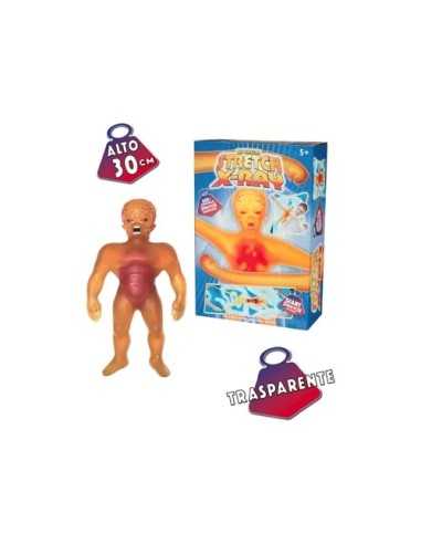 Mister muscle - X-Ray GIOTRE02000 Giochi Preziosi | Futurartshop.com