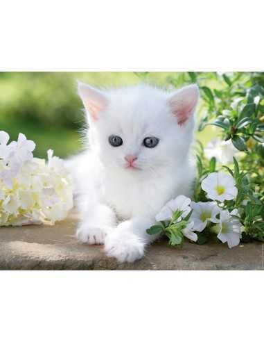 Puzzle white kitten 1500 pieces RAV16243 Ravensburger | Futurartshop.com