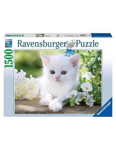 Puzzle white kitten 1500 pieces RAV16243 Ravensburger | Futurartshop.com