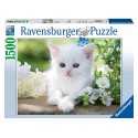 Puzzle-kätzchen-weiß-1500 stk 16243 Ravensburger- Futurartshop.com