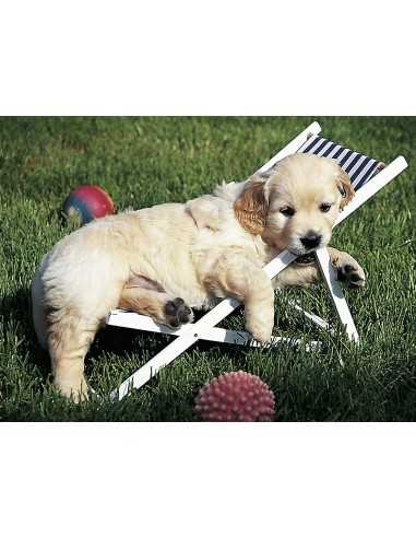 Puzzle cuccioli a riposo 500 pezzi 121607 Ravensburger | Futurartshop.com