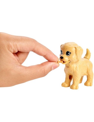 Barbie Dog-Sitter MATFXH07/FXH08 Mattel | Futurartshop.com
