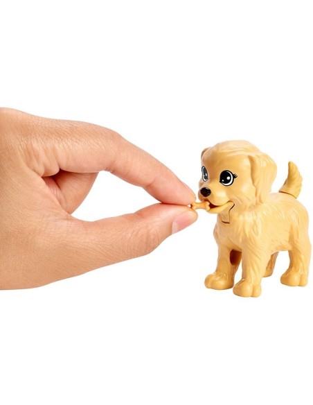Barbie Dogsitter MATFXH07/FXH08 Mattel | Futurartshop.com