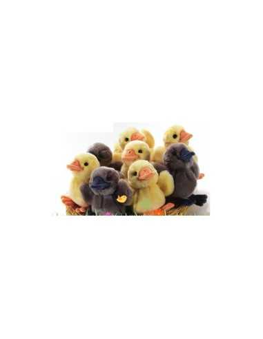 Canardins anatrine PLU05228 Plush e Company | Futurartshop.com