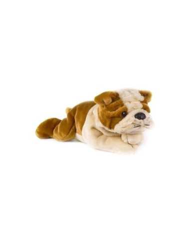 Bulldog growling spread PLU05926 Plush e Company | Futurartshop.com