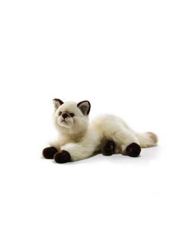 Gaudy siamese cat PLU05935 Plush e Company | Futurartshop.com