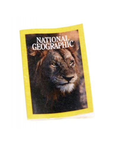 Barbie Doll National Geographic Photographer MATGDM44/GDM46 Mattel | Futurartshop.com