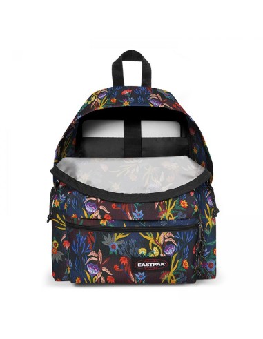 Backpack padded zippl'rtrippy blue EASEK69D99X Eastpak | Futurartshop.com