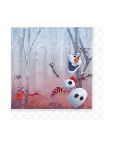 Frozen 2 - 20 table Napkins of paper ADF5PR91128 New Bama Party | Futurartshop.com